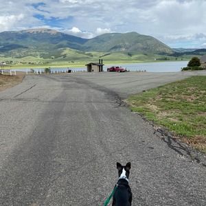 Meet your Posher, Mandi